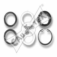 Cautex 030273 Repair Kit for Gear Shift Drive 030273