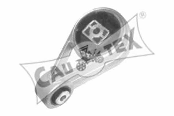 Cautex 080224 Gearbox mount rear 080224