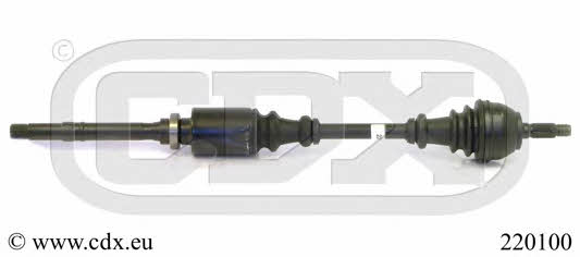 CDX 220100 Drive shaft 220100