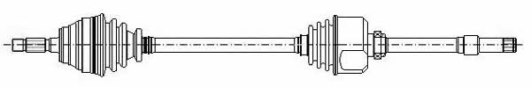 655397 Cifam Drive shaft