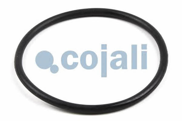 Cojali 6084017 Repair Kit, brake caliper 6084017