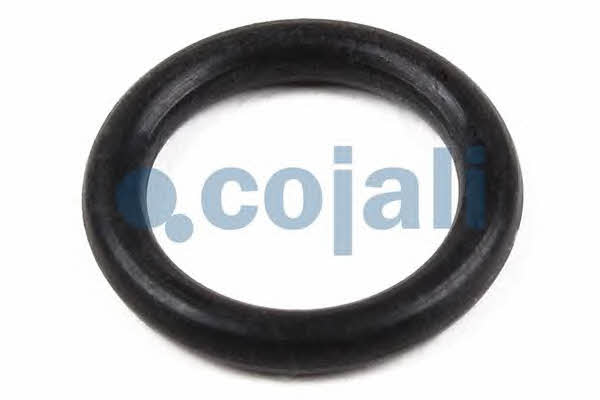 Cojali 6086521 Repair Kit, brake caliper 6086521