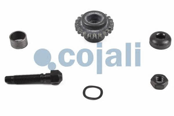 Repair Kit, brake caliper Cojali 6086522