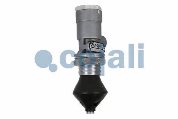Buy Cojali 2213201 at a low price in United Arab Emirates!