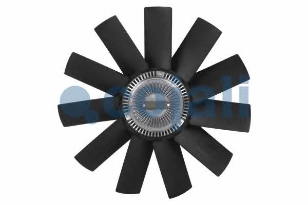 Hub, engine cooling fan wheel Cojali 7025103