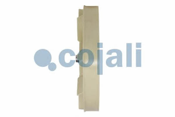 Hub, engine cooling fan wheel Cojali 7025121