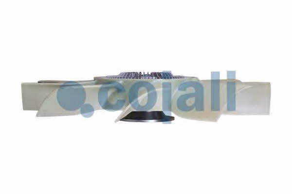 Buy Cojali 7031160 at a low price in United Arab Emirates!