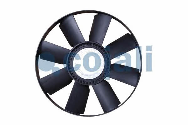 Buy Cojali 7037103 at a low price in United Arab Emirates!