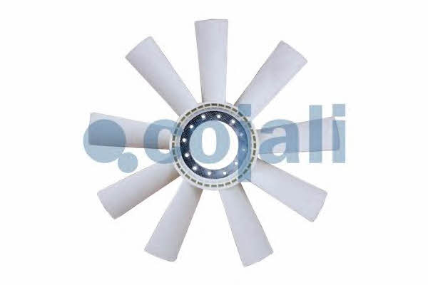 Buy Cojali 7037106 at a low price in United Arab Emirates!