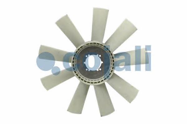 Buy Cojali 7037111 at a low price in United Arab Emirates!