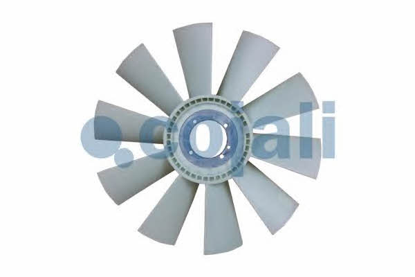 Buy Cojali 7037130 at a low price in United Arab Emirates!