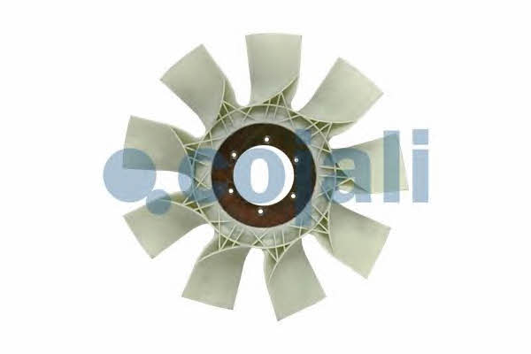 Buy Cojali 7047108 at a low price in United Arab Emirates!