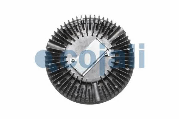 Viscous coupling assembly Cojali 7053125