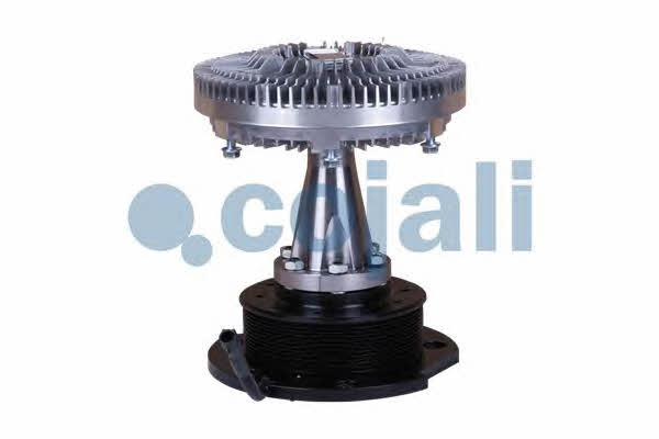 Buy Cojali 7053809 at a low price in United Arab Emirates!