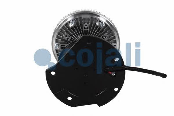 Viscous coupling assembly Cojali 7053811