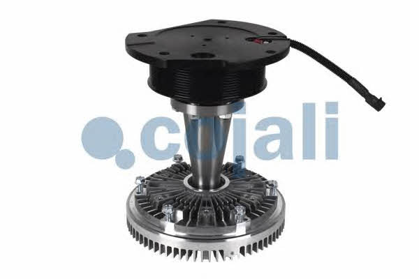 Buy Cojali 7053811 at a low price in United Arab Emirates!