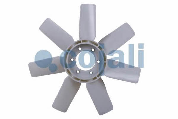 Buy Cojali 7057107 at a low price in United Arab Emirates!