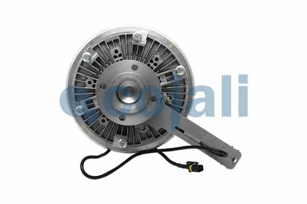 Buy Cojali 7063404 at a low price in United Arab Emirates!