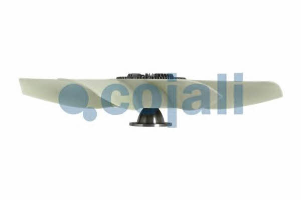 Hub, engine cooling fan wheel Cojali 7075101