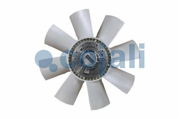 Hub, engine cooling fan wheel Cojali 7075109