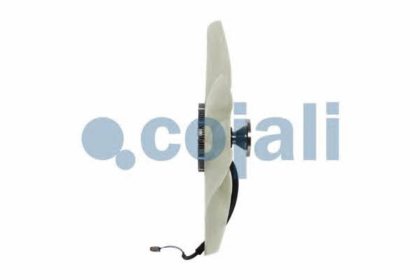 Buy Cojali 7075402 at a low price in United Arab Emirates!