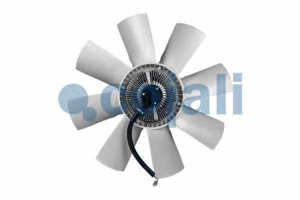 Hub, engine cooling fan wheel Cojali 7075404