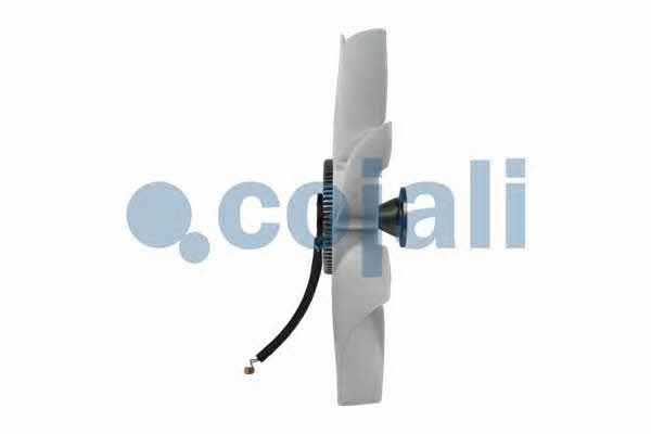 Buy Cojali 7075404 at a low price in United Arab Emirates!