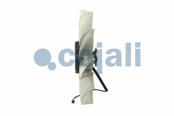Hub, engine cooling fan wheel Cojali 7075408