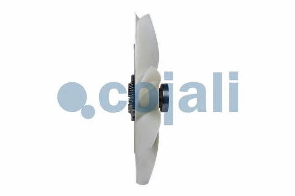 Buy Cojali 7085102 at a low price in United Arab Emirates!
