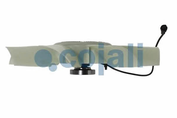 Buy Cojali 7085405 at a low price in United Arab Emirates!