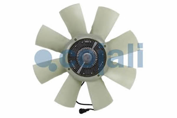 Hub, engine cooling fan wheel Cojali 7085414