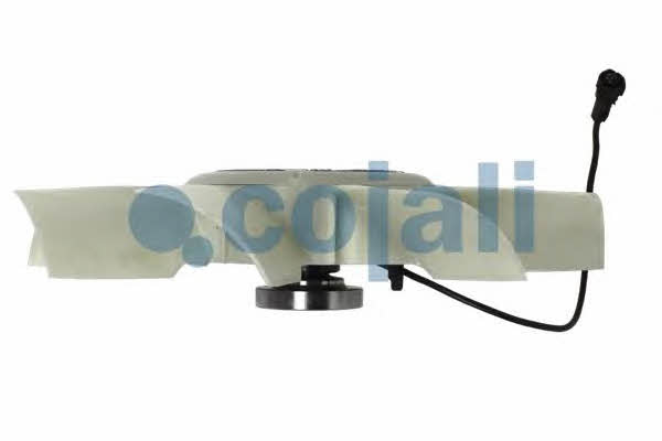 Buy Cojali 7085414 at a low price in United Arab Emirates!