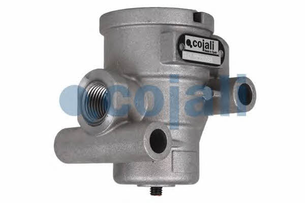 Buy Cojali 2223234 – good price at EXIST.AE!