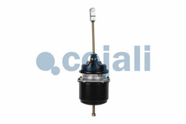 Cojali Brake cylinder – price