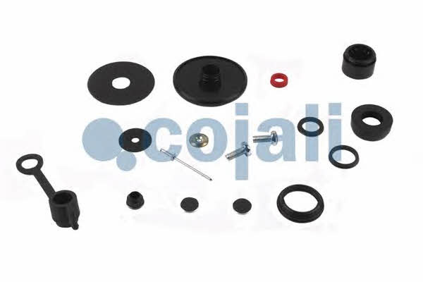 Repair kit for brake force regulator Cojali 6012212