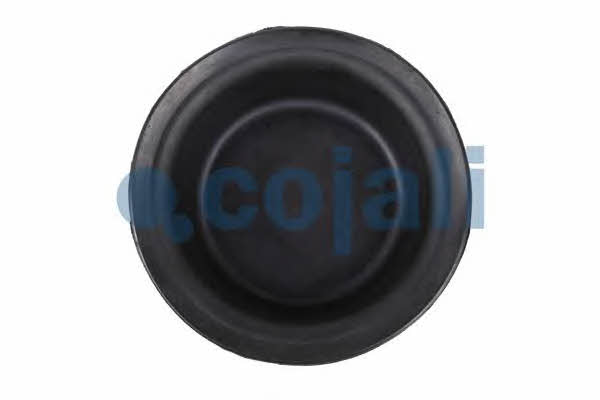 Cojali 6001109 Membrane, spring-loaded cylinder 6001109