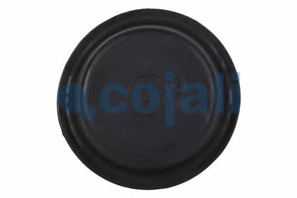 Buy Cojali 6001122 at a low price in United Arab Emirates!