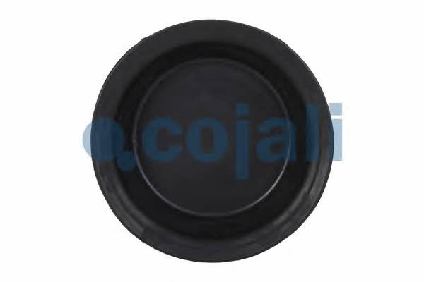 Cojali 6001122 Membrane, spring-loaded cylinder 6001122