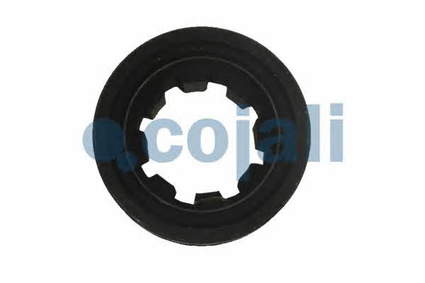 Cojali 4235100 Repair kit for brake force regulator 4235100