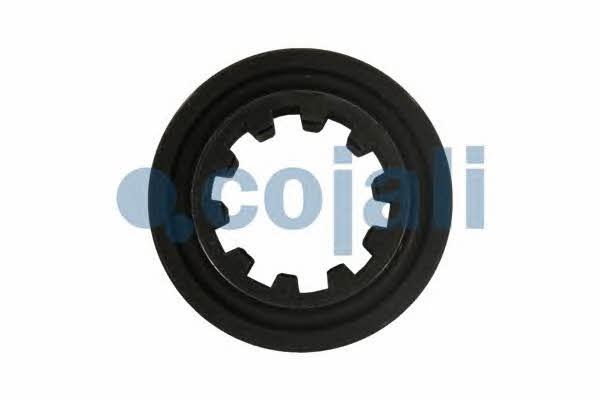 Cojali 4235101 Repair kit for brake force regulator 4235101