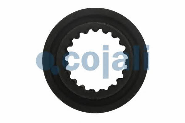 Cojali 4235102 Repair kit for brake force regulator 4235102