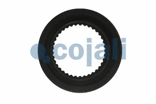 Cojali 4235109 Repair kit for brake force regulator 4235109
