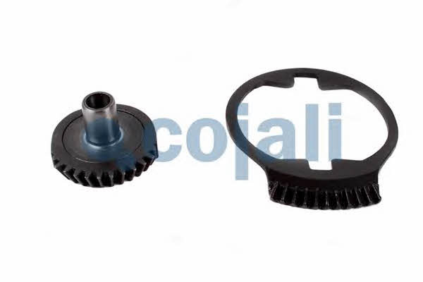 Cojali 6086512 Repair Kit, brake caliper 6086512