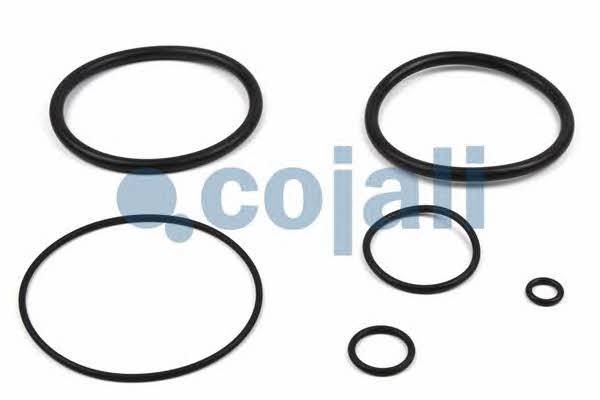 Cojali 6012027 Accelerating valve repair kit 6012027