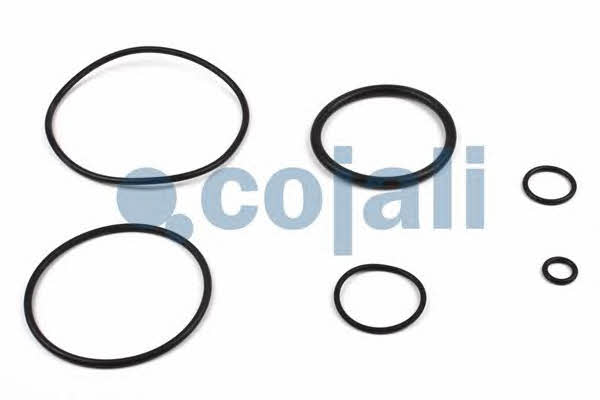 Cojali 6014407 Repair Kit 6014407