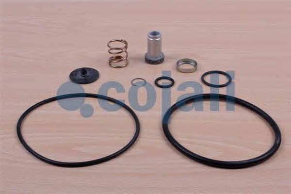 Repair Kit Cojali 6014606