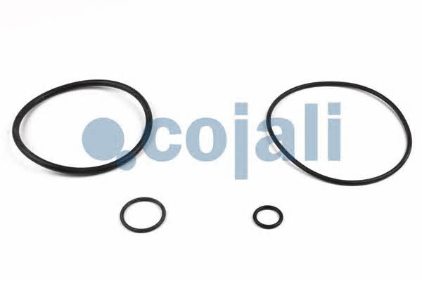 Cojali 6014606 Repair Kit 6014606