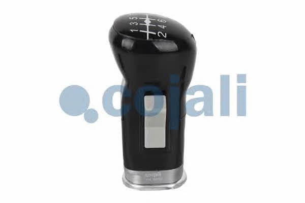 Cojali Gear knob – price