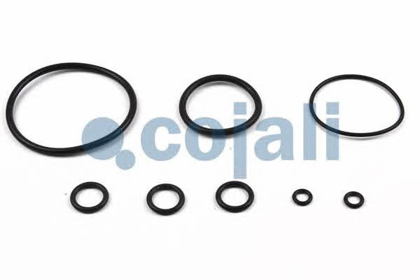 Cojali 6012165 Repair kit for brake force regulator 6012165