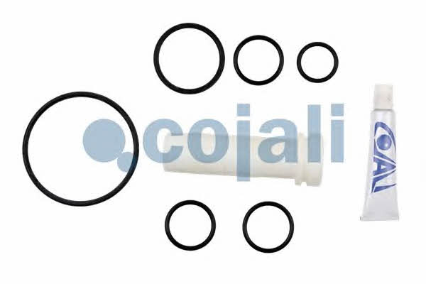 Cojali 6012176 Repair Kit, relay valve 6012176